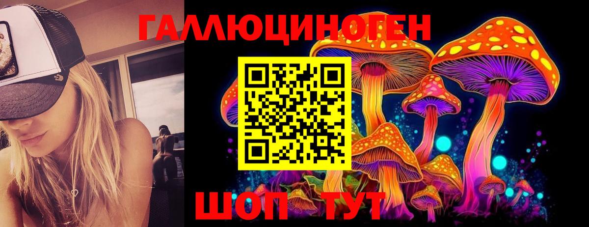 Галлюциногенные грибы GOLDEN TEACHER  Вход с VPN  Керчь  Псилоцибиновые грибы Psilocybine cubensis 
